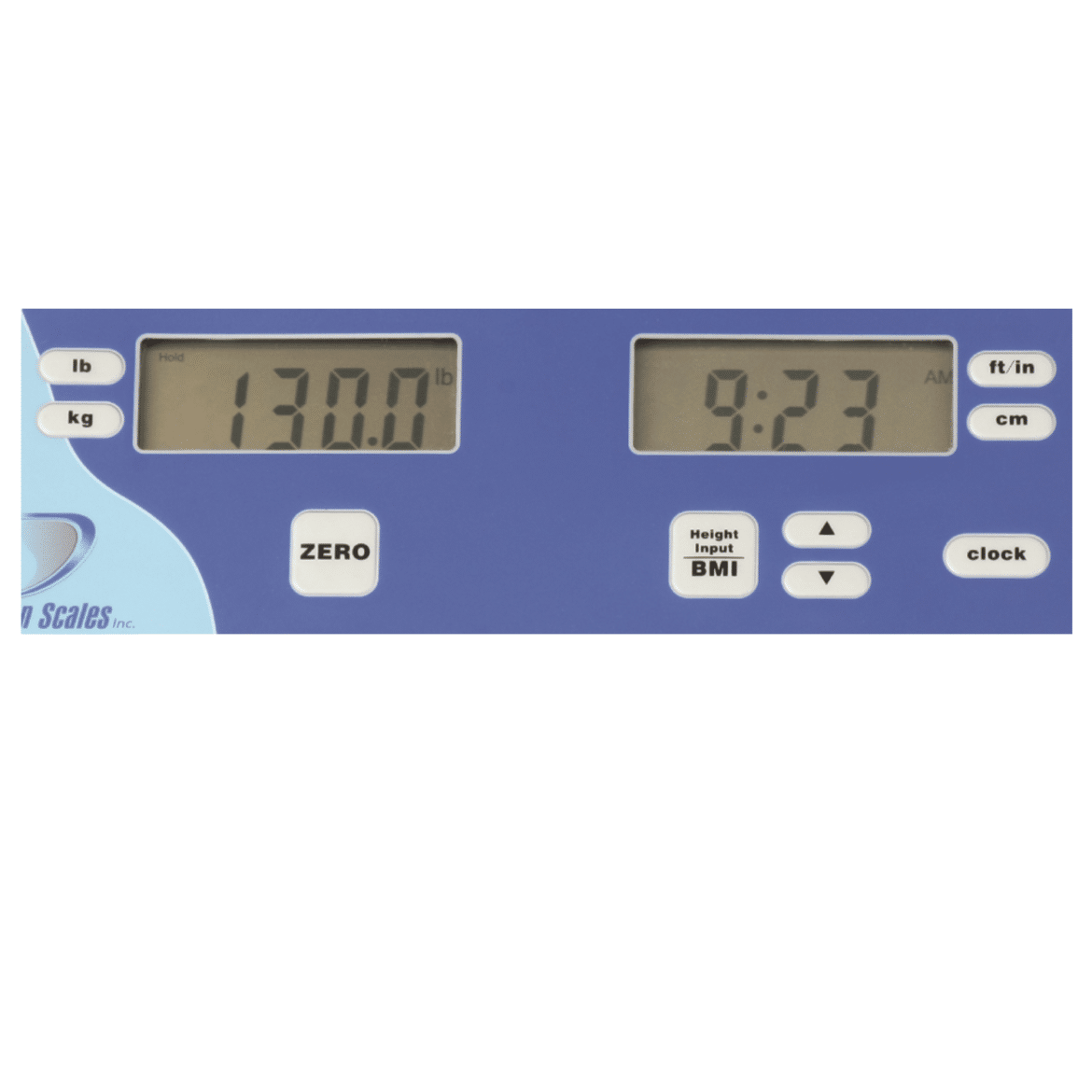 Doran Personal Digital Scales - Digital Floor Scale with Bluetooth, We —  Grayline Medical